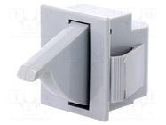 Switch: door; Pos: 2; SPDT; 5A/250VAC; Leads: connectors 4,8x0,5mm BULGIN