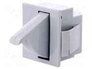 Switch: door; Pos: 2; SPDT; 5A/250VAC; Leads: connectors 4,8x0,5mm BULGIN