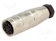 Connector: M16; plug; female; soldering; for cable; PIN: 7; 5A; 100V AMPHENOL