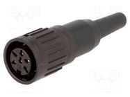 Connector: DIN; plug; female; PIN: 6; straight; for cable; soldering AMPHENOL