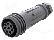 Connector: circular; plug; female; PIN: 7; EXPlora; Contacts: brass BULGIN