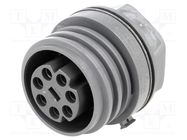 Connector: circular; socket; female; PIN: 7; EXPlora; nickel plated BULGIN