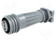 Connector: circular; plug; female; PIN: 2; EXPlora; Contacts: brass BULGIN