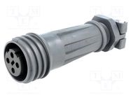 Connector: circular; plug; female; PIN: 4; EXPlora; Contacts: brass BULGIN