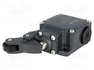 Limit switch; plastic roller Ø20mm; NO + NC; 10A; max.500VAC PIZZATO ELETTRICA