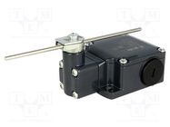 Limit switch; adjustable plunger, length R 19-116mm; NO + NC PIZZATO ELETTRICA