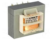 Transformer: mains; 4VA; 230VAC; 18V; 18V; 120mA; 120mA; screw type INDEL