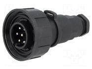 Connector: circular; plug; male; PIN: 7; 5A; 250V; IP68; UL94V-0 BULGIN