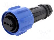 Connector: circular; plug; female; PIN: 2; Buccaneer 900; for cable BULGIN