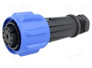 Connector: circular; plug; female; PIN: 10; Buccaneer 900; IP68 BULGIN