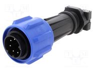 Connector: circular; plug; male; PIN: 7; Buccaneer 900; for cable BULGIN