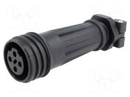 Connector: circular; plug; female; PIN: 4; 32A; 600V; Buccaneer 900 BULGIN
