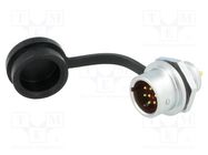 Socket; SF12; male; PIN: 7; IP67; 5A; soldering; 125V; 0.75mm2 WEIPU