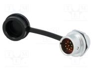 Socket; SF12; male; PIN: 9; IP67; 3A; soldering; 125V; 0.75mm2 WEIPU