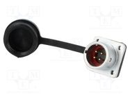 Socket; SF12; male; PIN: 4; IP67; 5A; soldering; 200V; 0.75mm2 WEIPU