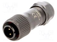 Plug; ST12; male; PIN: 2; IP67; 5÷8mm; 13A; soldering; for cable; 250V WEIPU