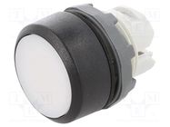 Switch: push-button; 22mm; Stabl.pos: 1; white; none; IP66; flat ABB