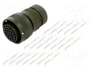 Connector: military; plug; female; PIN: 19; VG95234; 22A; straight AMPHENOL AIR