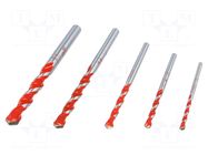 Drill set; steel; plastic cassette; PROFI MULTICUT; 5pcs. ALPEN-MAYKESTAG