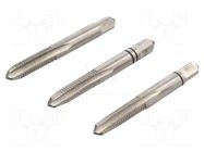 Kit: taps; for blind holes,to the through holes; L: 50mm; 4,9mm ALPEN-MAYKESTAG