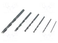 Drill set; for metal; high speed steel; plastic cassette; metal ALPEN-MAYKESTAG
