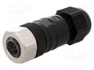 Connector: M12; plug; PIN: 8; female; A code-DeviceNet / CANopen LUMBERG AUTOMATION