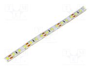 LED tape; white cold; 3528; 12V; LED/m: 96; 10mm; white PCB; IP67 OPTOFLASH