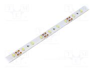 LED tape; white cold; 3528; LED/m: 60; 10mm; brown PCB; 120°; 4.8W/m OPTOFLASH