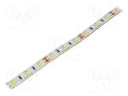 LED tape; white cold; 3528; 12V; LED/m: 60; 10mm; white PCB; IP67 OPTOFLASH