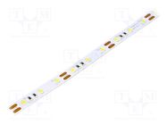 LED tape; white neutral; 2835; LED/m: 60; 10mm; white PCB; 120° OPTOFLASH