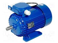 Motor: AC; 1-phase; 0.75kW; 230VAC; 1340rpm; 5.35Nm; IP54; 5.6A; arms 