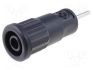 Connector: 4mm banana; socket; 36A; 1kV; black; on panel,push-in SCHÜTZINGER