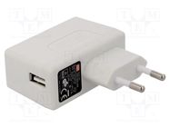 Power supply: switching; mains,plug-in; 5VDC; 2.4A; 12W; Plug: EU MEAN WELL