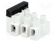 Terminal block; screw terminal; 2.5mm2; 450V; ways: 3; terminals: 6 BM GROUP