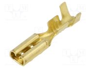 Terminal: flat; 2.8mm; 0.5mm; female; 0.5÷1.25mm2; crimped; brass BM GROUP