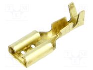 Terminal: flat; 4.8mm; 0.5mm; female; 0.5÷1.25mm2; crimped; brass BM GROUP