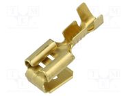 Terminal: flat; 6.3mm; 0.8mm; female/male; 1÷2.5mm2; crimped; brass BM GROUP