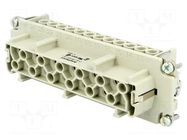 Connector: HDC; contact insert; female; 16A; 500V; PIN: 24; 24+PE AMPHENOL