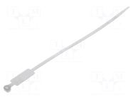 Cable tie; with label; L: 220mm; W: 4.8mm; natural; polyamide; 220N BM GROUP