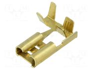 Terminal: flat; 6.3mm; 0.8mm; female; 1.5÷2.5mm2; crimped; brass BM GROUP