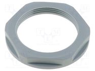 Nut; PG29; polyamide; UL94V-2; 46mm; grey; -20÷100°C; Thread: PG LAPP