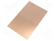 Laminate; FR4,epoxy resin; 1.5mm; L: 160mm; W: 100mm 