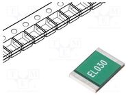 Fuse: PTC polymer; 300mA; 2920 ECE