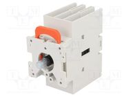 Switch-disconnector; Poles: 3; for DIN rail mounting,screw type LOVATO ELECTRIC