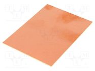 Laminate; FR4,epoxy resin; 1.5mm; L: 100mm; W: 75mm; Coating: copper 