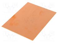 Laminate; FR4,epoxy resin; 1.5mm; L: 100mm; W: 75mm; Coating: copper 