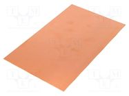 Laminate; FR4,epoxy resin; 0.8mm; L: 160mm; W: 100mm; double sided 