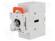 Switch-disconnector; Poles: 3; for DIN rail mounting,screw type LOVATO ELECTRIC