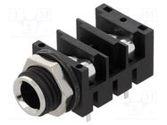 Connector: Jack 6,3mm; socket; female; mono,with double switch AMPHENOL