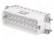 Connector: HDC; contact insert; male; 14A; 250V; PIN: 16; 16+PE AMPHENOL